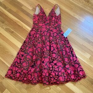 Dress the Population women’s dress